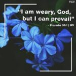 Explore the prophetic meaning of Proverbs 30:1–6. Discover how Agur's words reveal human limitations, point toward the Son of God, and affirm the absolute truth of God's Word through biblical insight and a powerful modern-day story.